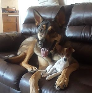 Meet your Posher, Chris